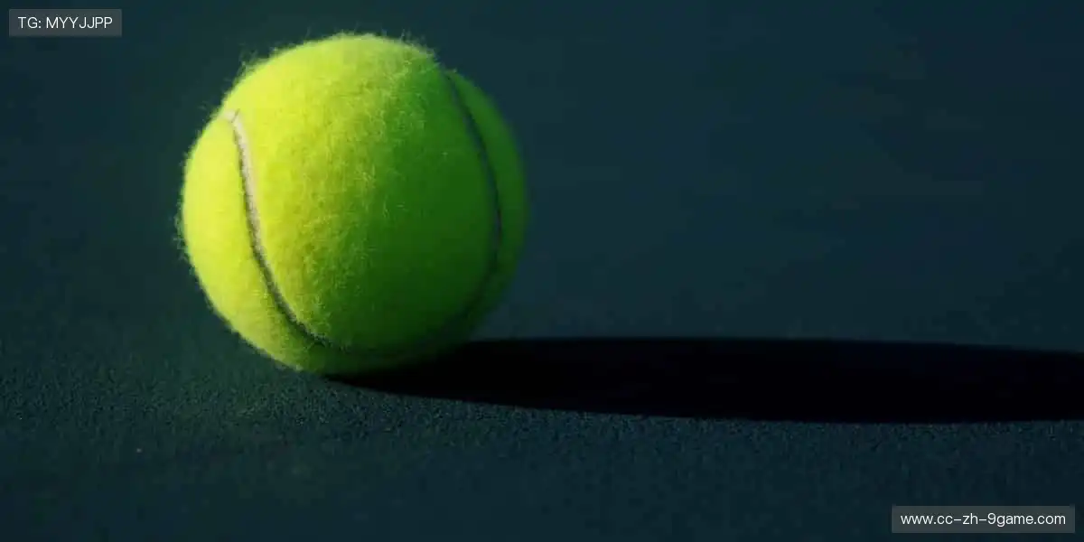 👟潮流装备，个性定制！从球鞋到球衣，打造专属你的运动风格！🎾