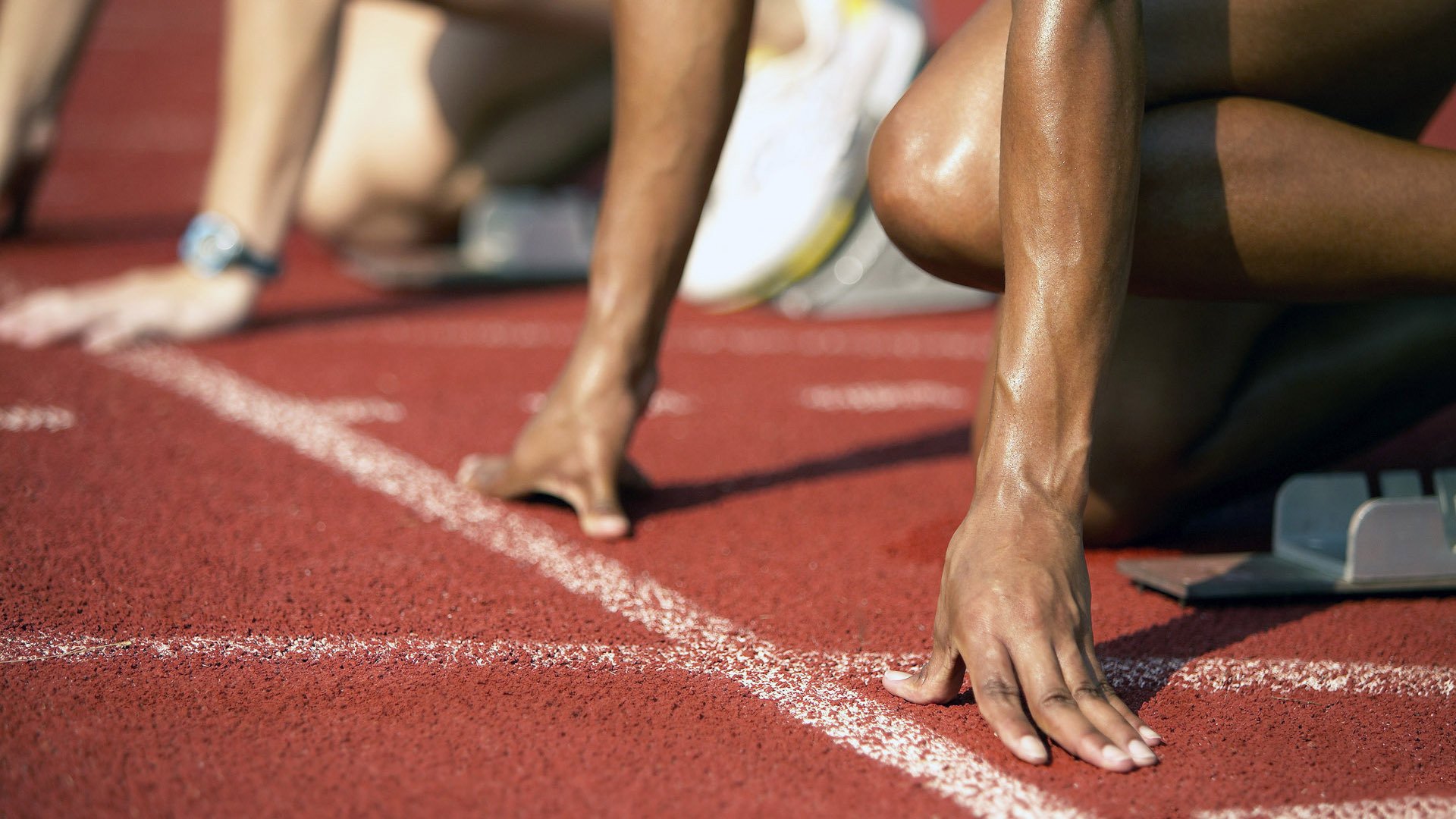 “水上芭蕾与游泳较量：2025世界游泳锦标赛掀起观赛热潮”