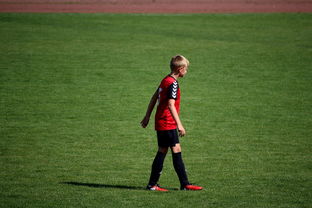 九游官网下载-中国足球俱乐部青训营技术指导持续加强，中国足球青训机构