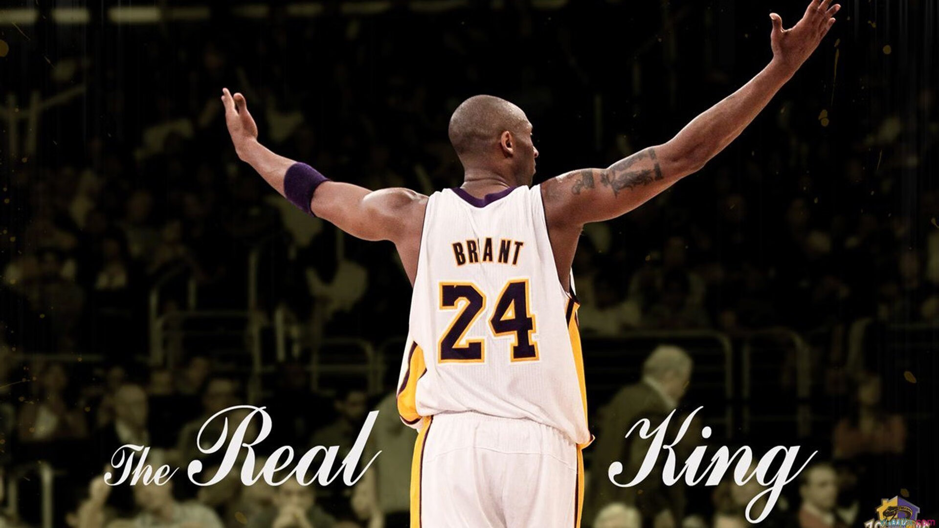 世界杯最精彩集锦:每一场都值得铭记,世界杯精彩瞬间